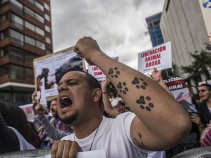 Una protesta animalista en Bogotá, en una imagen de archivo.