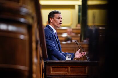 El presidente del Gobierno, Pedro Sánchez, interviene en una sesión plenaria del Congreso de los Diputados el 24 de enero.