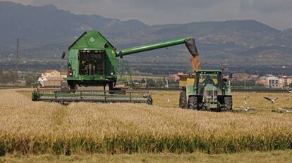 Maquinaria agrícola en el delta del Ebro.