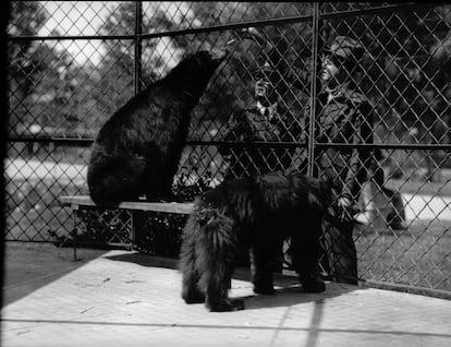 Dos individuos vestidos con trajes frente a la jaula de osos en un zoológico.