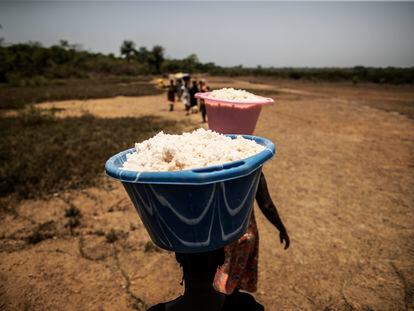 Las mujeres de las aldeas alrededor de Quinhamel, en Guinea-Bisáu, se dedican a la producción de sal. Todo lo cargan sobre sus cabezas.