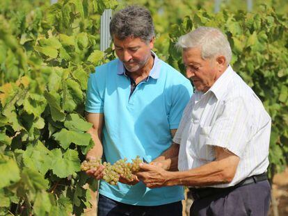 Marcel Sabat&eacute; y su padre, contemplando unas uvas de sus vi&ntilde;edos. 