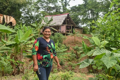 Nélida Buendía, de 46 años, en la comunidad de Cahuapanas, en la Amazonía peruana.