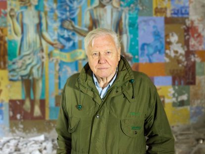 David Attenborough, en el tráiler de su nueva serie, 'A Life on our Planet'