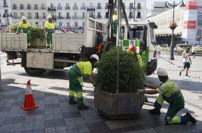 Operarios del Ayuntamiento de Madrid colocan jardineras junto a la plaza de la Puerta del Sol.