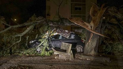 Un coche dañado por un árbol en Coimbra (Portugal) tras el paso de Leslie. En vídeo, previsión de los efectos del huracán.