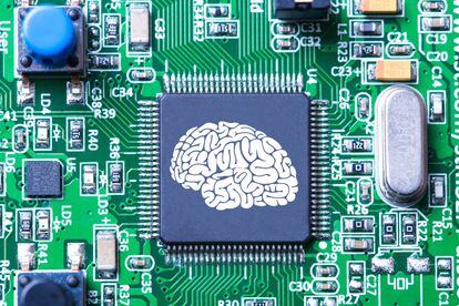 Neurocientíficos computacionales apuntan a que los cerebros evolucionaron como máquinas de predicción para optimizar su consumo de energía.