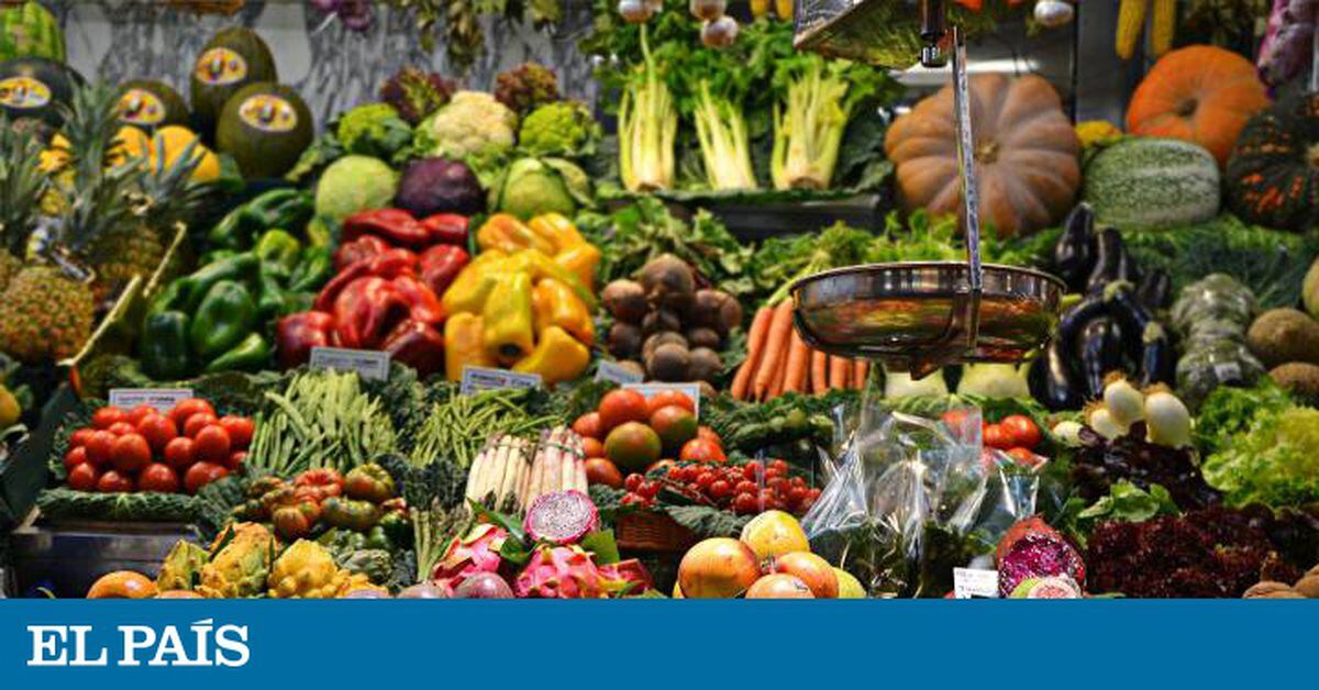 Animales de granja como alimento, aumentando el riesgo de pandemias -  ProVeg España