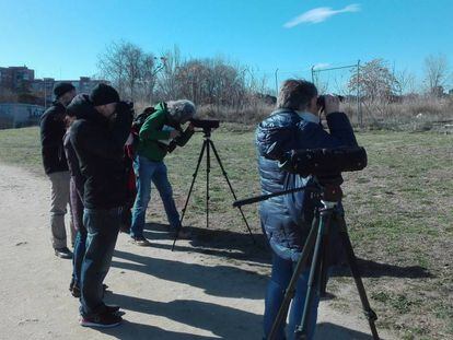 Observación de aves en el solar de la cárcel de Carabanchel.