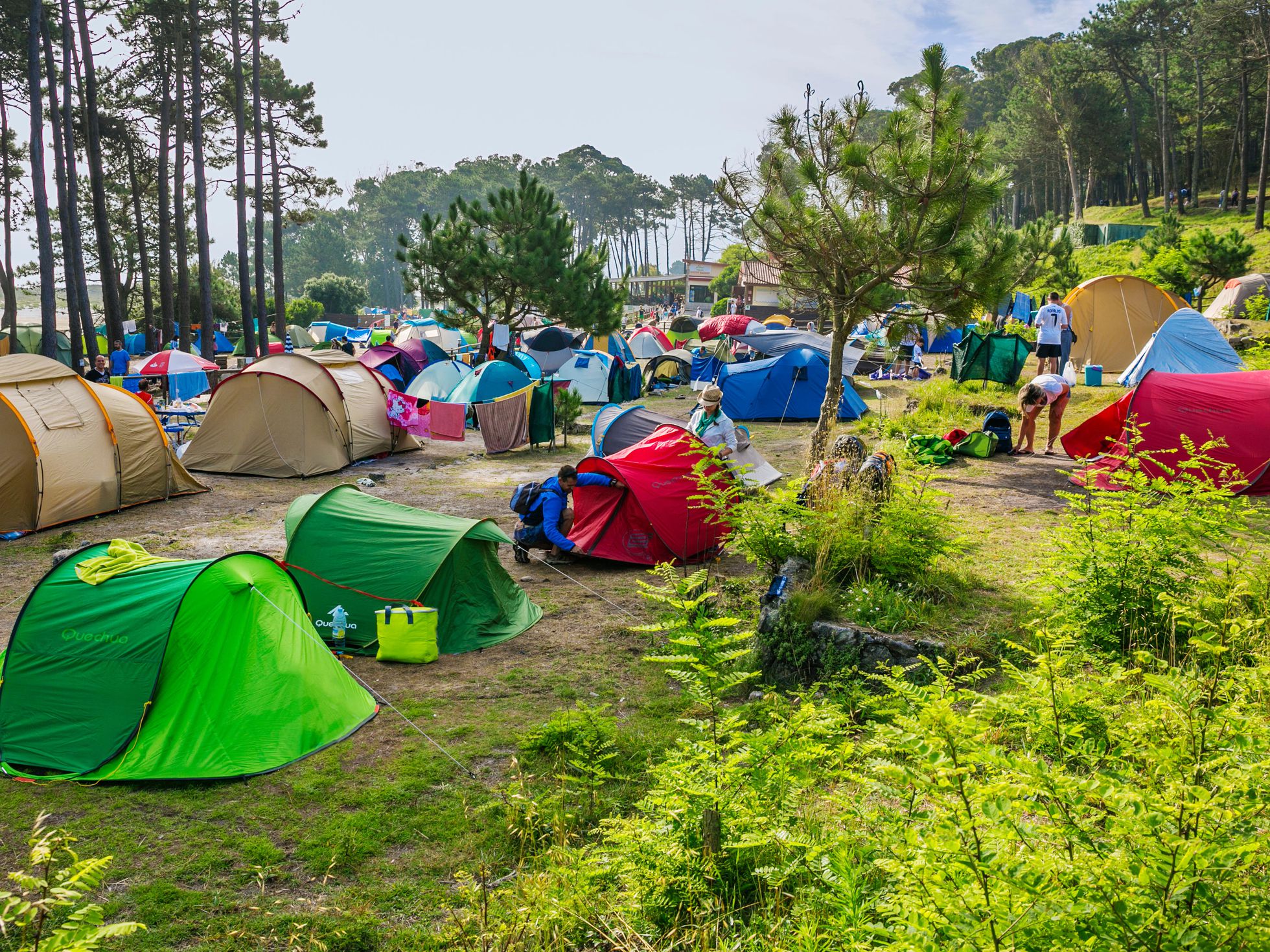 El 'camping' vuelve a seducir a los turistas, Negocios