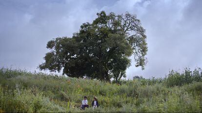 Alexander Gadiel Mendoza S. and Danae Ahuja Aparicio, in 'Valentina or Serenity' (2023).