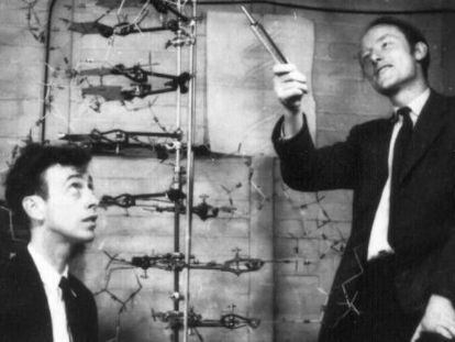 Crick y Watson en el laboratorio Cold Spring Harbor.