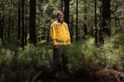 Ángel Palomares, director del Parque Nacional de la Caldera de Taburiente en el entorno del espacio natural.
