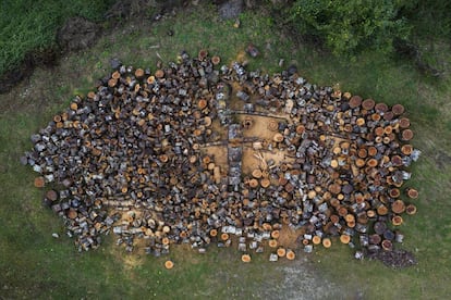 Madera de haya para el uso de los vecinos.