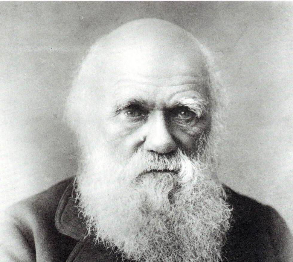 Reatrato de Charles Darwin.