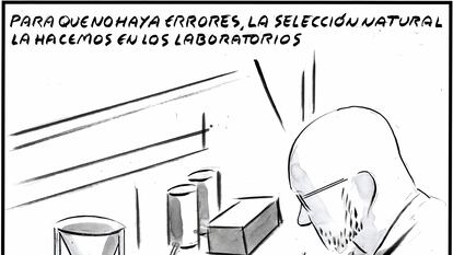 El Roto