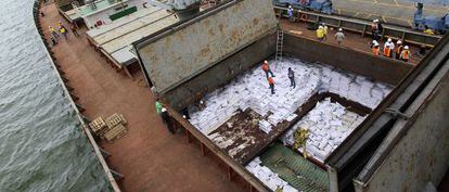 Cubierta del barco norcoreano que transportaba material bélico camuflado.