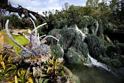 Disney's Animal Resort es un parque temático sobre animales localizado en Walt Disney World Resort. Las nuevas atracciones de Pandora-World, perteneciente a Disney's Animal, consiste en un paisaje con especies de plantas reales mezcladas con la flora artificial de Pandora.