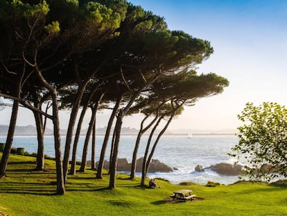 Jardines de la península de La Magdalena en Santander (Cantabria).