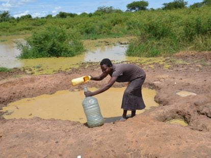 Una mujer colecta agua de una charca formada tras las recientes inundaciones en la región de Albertine, Uganda.