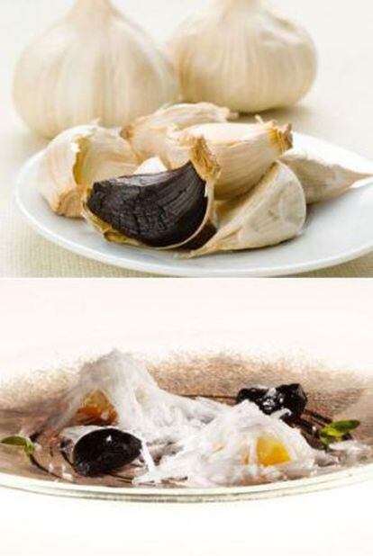 Ajo negro y plato de elBulli con este ingrediente, yuzu y coco.