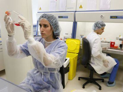 Investigadores en el laboratorio de Histocell, del grupo Noray, dedicado a explorar productos innovadores para medicina regenerativa.