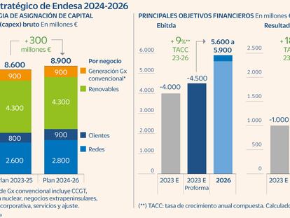 Endesa se compromete a un dividendo mínimo de un euro por acción hasta 2026