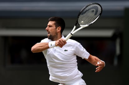 Djokovic, tras golpear una derecha.