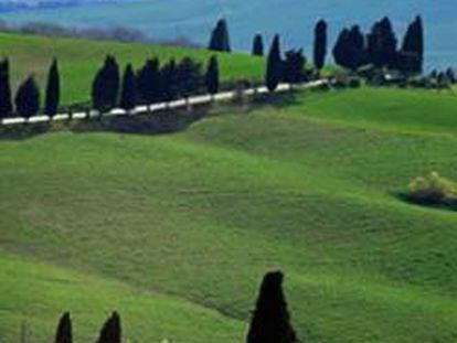 Típico paisaje de La Toscana