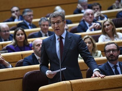 El líder del Partido Popular, Alberto Núñez Feijóo, interviene durante una sesión de control al Gobierno en el Senado, el pasado 21 de febrero de 2023, en Madrid.