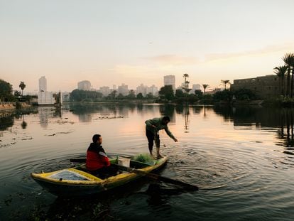 Arafa Saber sale a pescar en el río Nilo junto a su hermano Mohamed, este 30 de noviembre. Buscan peces, pero también plásticos.