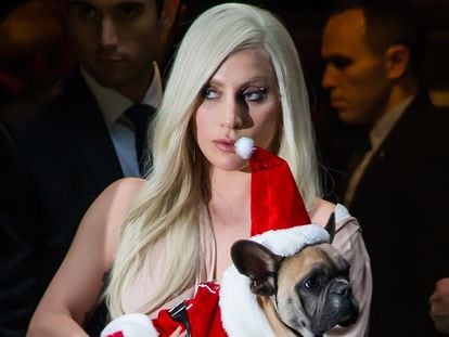 La cantante Lady Gaga junto a su perrita 'Stella' en un evento de Billboard en homenaje a las mujeres en el mundo de la música en diciembre de 2015.