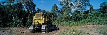 Maquinaría arrasa con un parte de la Reserva Forestal de Imataca, en Venezuela.