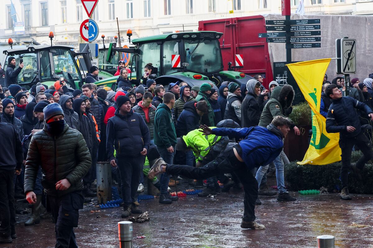 Bruselas propone eximir a las pequeñas granjas de los controles de condicionalidad de la PAC | Economía