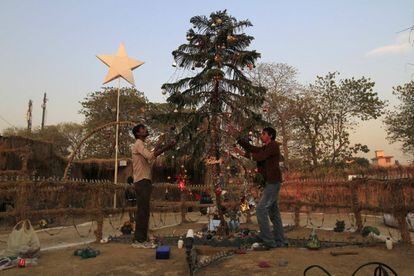 Navidad: campaña fiestas decembrinas sin musgo en los pesebres - Noticias  de Ambiente - Secretaría Distrital de Ambiente