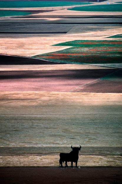 'Tierra de Campos' (1987). Masats regresó a la fotograría, sobre todo en color, en 1981, hasta su último trabajo, en 2006.