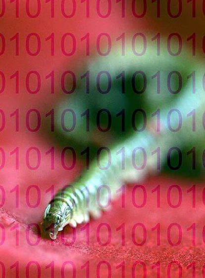El <i>gusano</i> ha infectado millones de ordenadores.