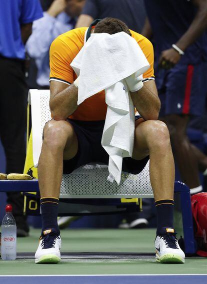 Juan Martín del Potro tras su derrota contra Djokovic.