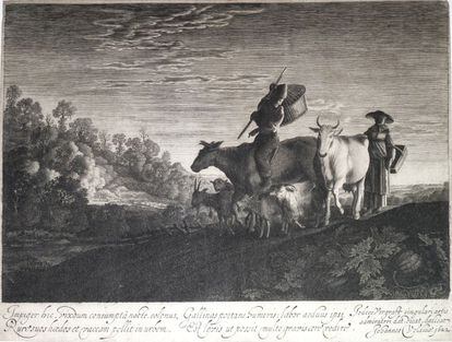 La exposición está dividida según los temas tratados. En la serie de paisajes con animales destaca 'La vaca blanca', de Jan van de Velde II (1593-1641), un pequeño aguafuerte (172 x 277 milímetros) famoso por la maestría con la que se capta la luz del amanecer y las siluetas de los campesinos.