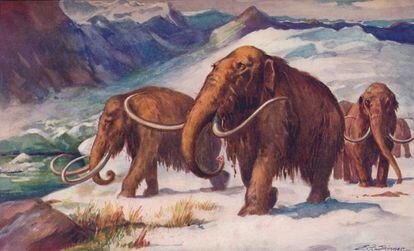 Ilustración de unos mamuts en la Edad de Hielo.