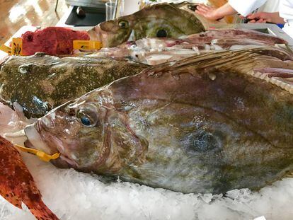 MOSTRADOR DE PESCADOS DE PEIX NOSTRUM EN EL RESTAURANTE SA NANSA / CAPEL