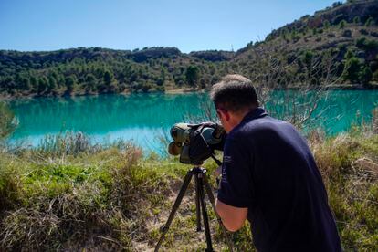 Jesús Pozuelo se sirve de un telescopio en una de las 15 balsas de agua que forman el Parque Natural de las Lagunas de Ruidera para identificar un tipo de ánade.