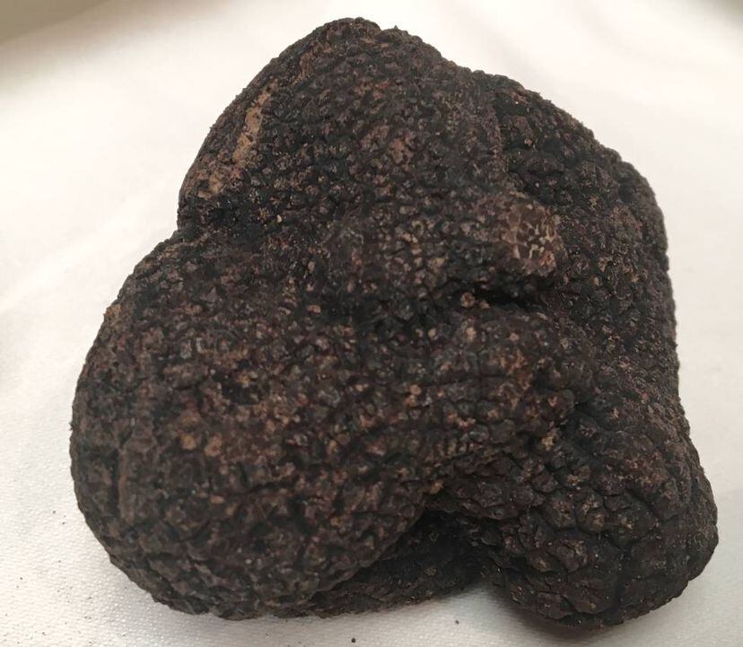 Trufas negras ¿quién ha dicho que son caras? - Gastronotas De-Capel ...