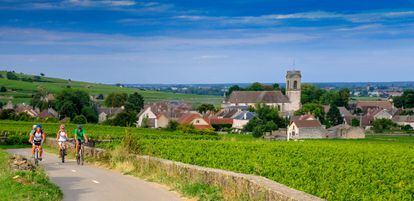 Viñedos alrededor de la villa de Pommard, uno de los pueblos de la ‘Route des Grands Crus’, los vinos más famosos de Borgoña. 