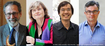 Los matemáticos franceses Yves Meyer y Emmanuel Candès, la belga Ingrid Daubechies y el australiano Terence Tao han sido galardonados de forma conjunta con el Premio Princesa de Asturias de Investigación Científica y Técnica 2020. Estos cuatro matemáticos han realizado contribuciones pioneras y trascendentales a las teorías y técnicas modernas del procesamiento matemático de datos y señales. Al galardón, el séptimo en fallarse de los ocho premios que concede anualmente la Fundación Princesa de Asturias, optaban 48 candidaturas de veintidós nacionalidades.