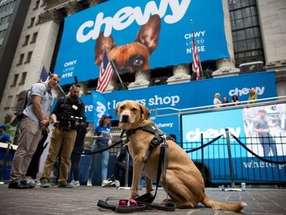 Un perro en la Bolsa de Nueva York el 14 de junio de 2019, día en que comenzó a cotizar la empresa Chewy.