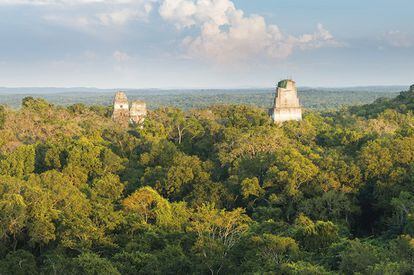 Los yacimientos mayas de Guatemala compiten con los de México por su calidad arquitectónica y su ubicación en un paisaje de jungla en el que piedra, cielo, verde y tierra se funden en una simbiosis subyugante. Y el de Tikal resume todo esto como pocos. Los arqueólogos dicen que se ha excavado menos del 10% de sus edificios, y que la ciudad, de mil años de antigüedad, podría compararse con la antigua Roma en cuanto a tamaño, población y poder político.