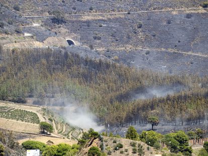 COLERA (GIRONA), 05/08/2023.- Vista de las zonas afectadas por el incendio que comenzó ayer en Portbou (Girona), y que en estos momentos sigue activo. EFE/Marta Pérez
