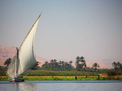 Las falúas, embarcaciones de carga o pasaje aparejadas con una gran vela latina, son una de las imágenes más características del Nilo.
