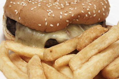 La comida basura modifica el cerebro y aumenta el apetito